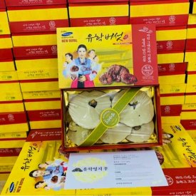 NẤM LINH CHI  ĐỎ CÔ GÁI 