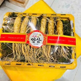Quà Biếu Nhân Sâm Tươi Hàn Quốc