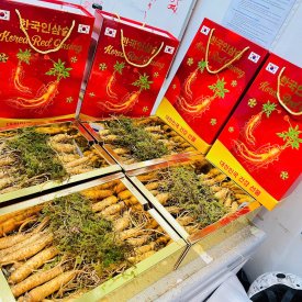 Hộp Quà Biếu Nhân Sâm Tươi Hàn Quốc