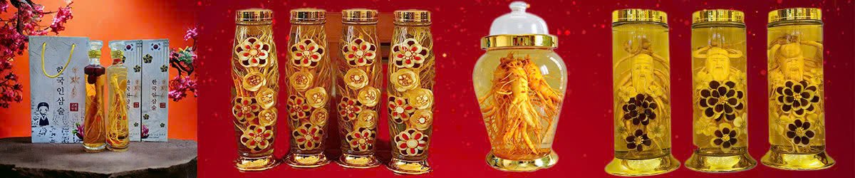 Rượu Sâm - Bình Ngâm Rượu