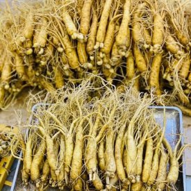 SÂM TƯƠI HÀN QUỐC LOẠI TRÊN 50 CỦ 1 KG