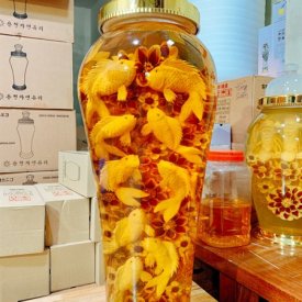 Rượu sâm khắc hình Cá chép