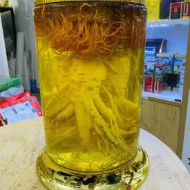 Rượu Sâm - Đông Trùng