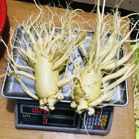 SÂM TƯƠI HÀN QUỐC LOẠI 2 CỦ 1 KG