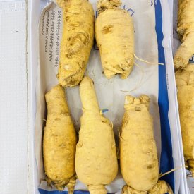 SÂM TRỌC 5-6-7 CỦ 1 KG