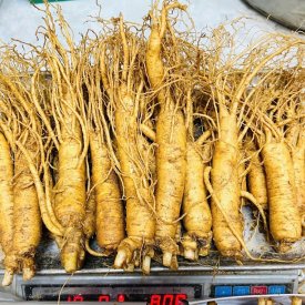 NHÂN SÂM CỦ TƯƠI  HÀN QUỐC - LOẠI 12 CỦ 1 KG