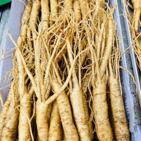 SÂM TƯƠI HÀN QUỐC LOẠI 30-40 CỦ 1 KG