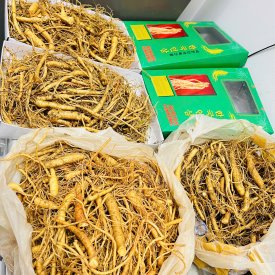 RỄ SÂM TƯƠI HÀN QUỐC