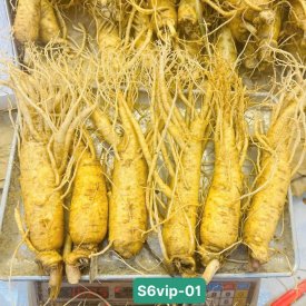 SÂM TƯƠI HÀN QUỐC LOẠI 6 CỦ 1 KG