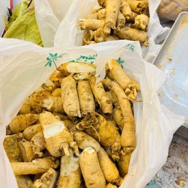 SÂM SALE - SÂM VỤN
