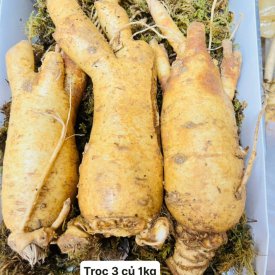 SÂM TRỌC 3-4 CỦ 1 KG