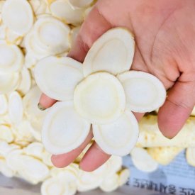 SÂM THÁI LÁT SẴNG