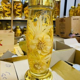 Rượu sâm kết hoa N20 (2.5 lít m-cao 35,5cm)