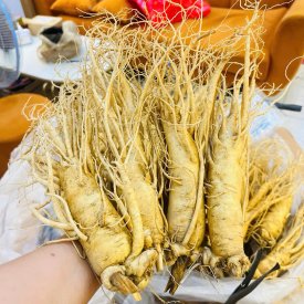 SÂM TƯƠI HÀN QUỐC LOẠI 4 CỦ 1 KG