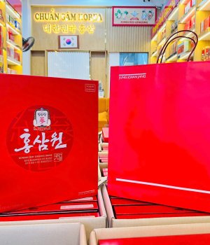 Nước Hồng Sâm và Cao Hồng Sâm Hàn Quốc – Món quà sức khỏe tri ân thầy cô dịp 20/11